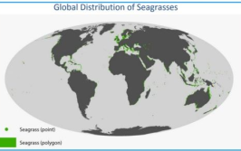 超级生物改造系统,开启未来生命进化新纪元